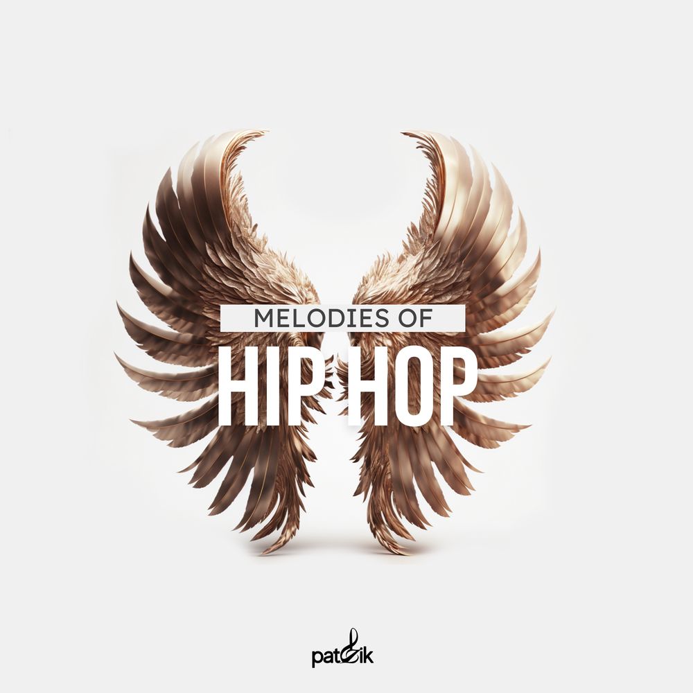Pochette de Melodies Of Hip Hop