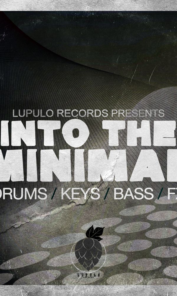 Artwork for Into The Minimal
