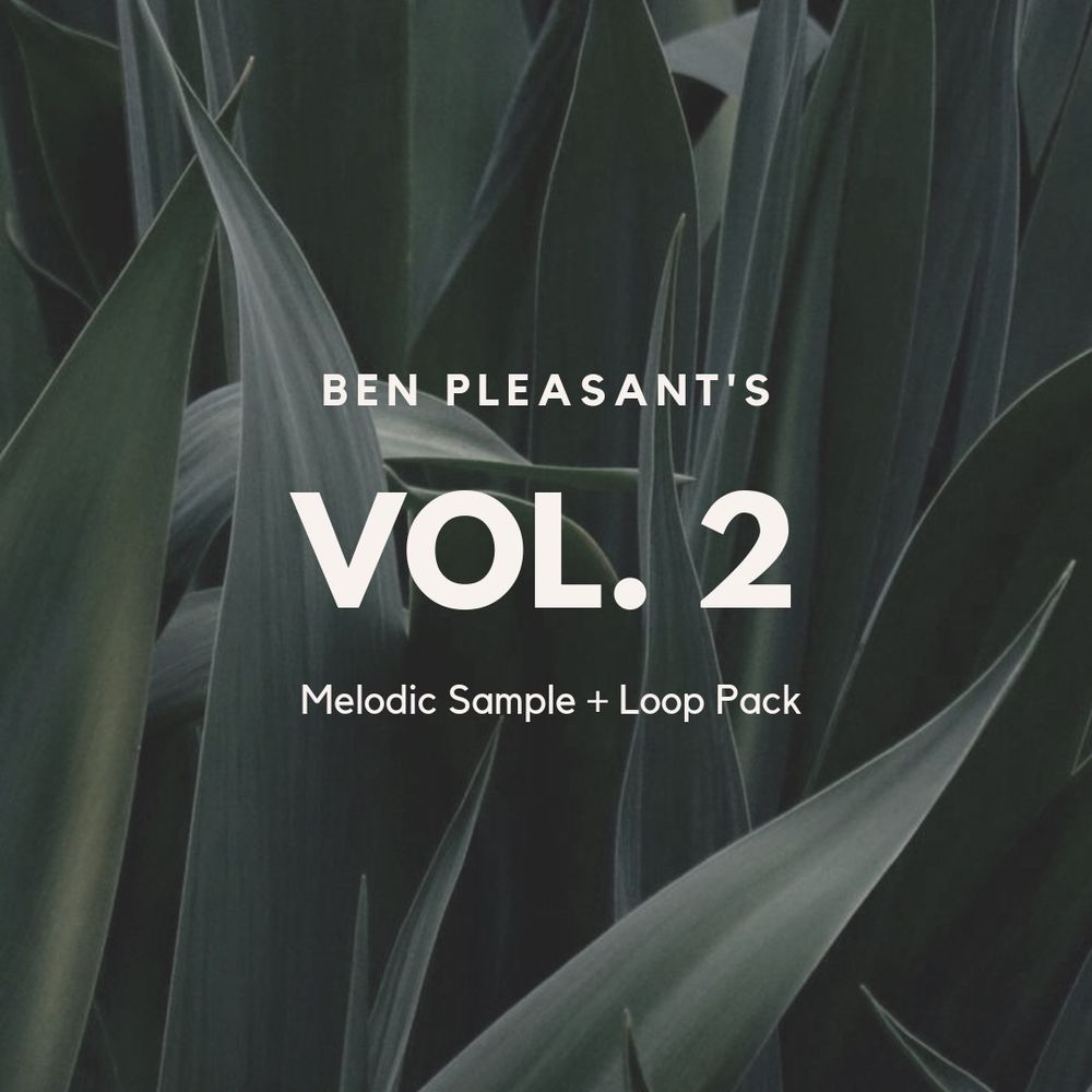 Pochette de Ben Pleasant's Guitar Sample Pack Vol. 2