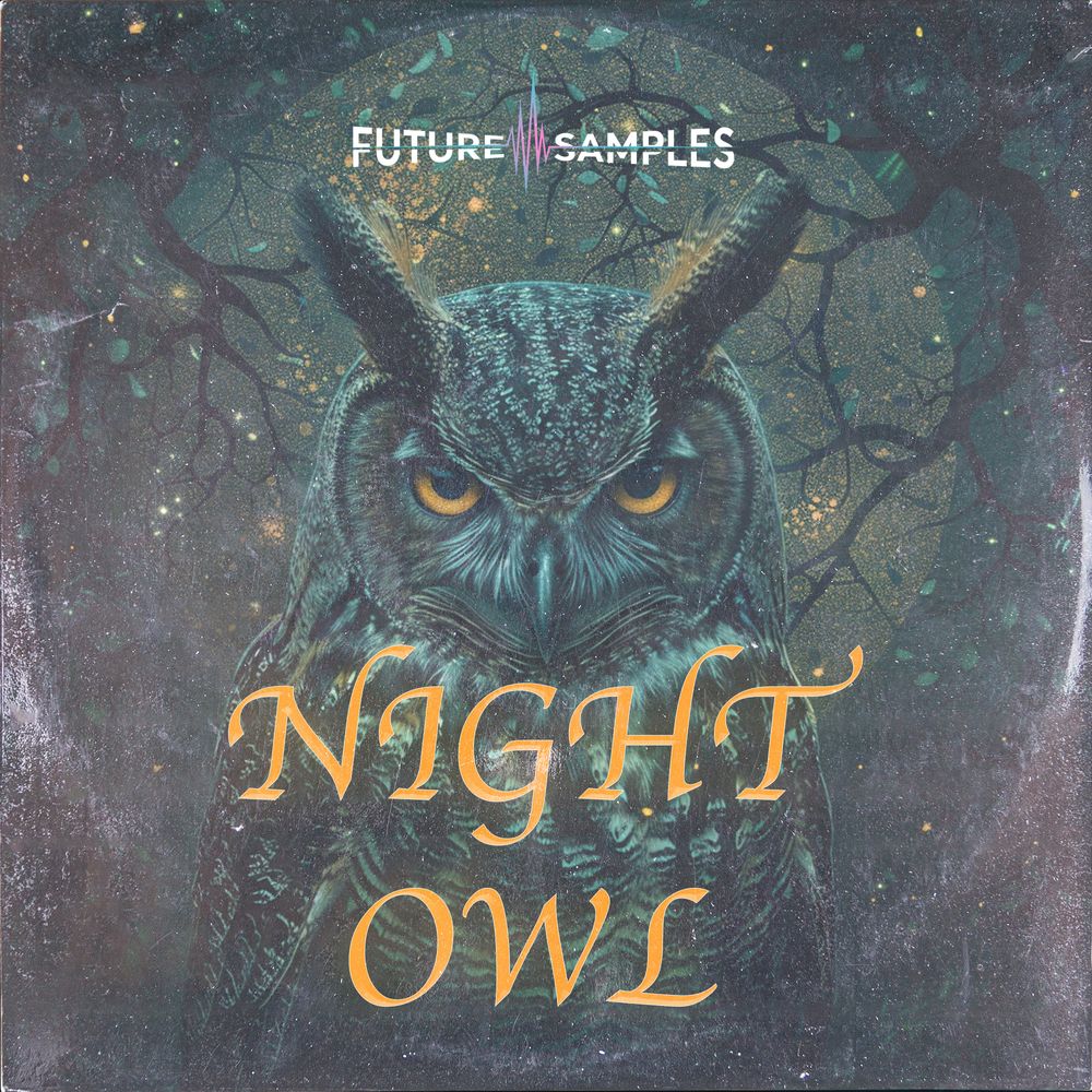 Pochette de NIGHT OWL - R&B Melodies