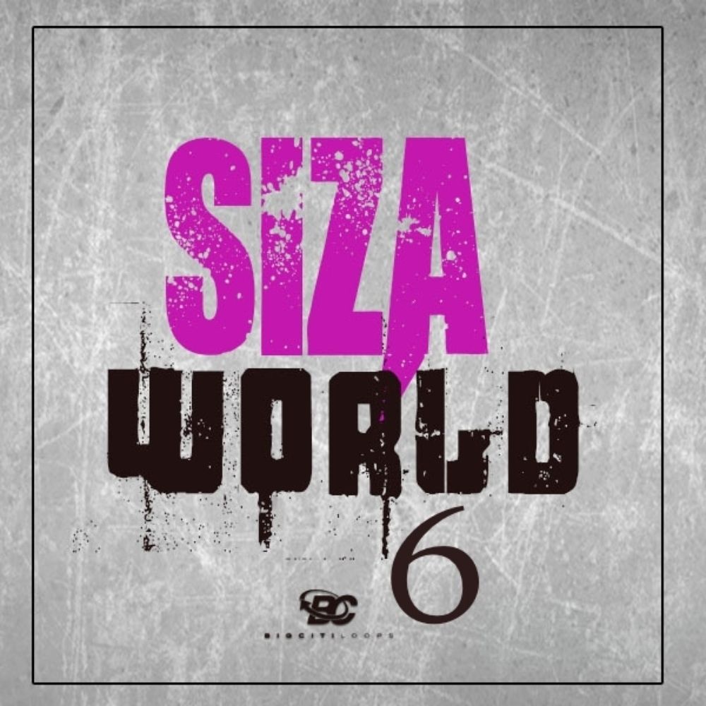 Arte de Siza World 6