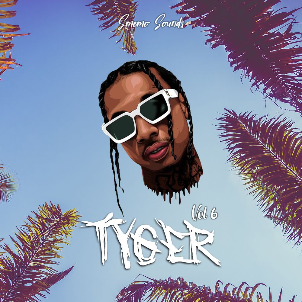 Pochette de TYGER vol 6