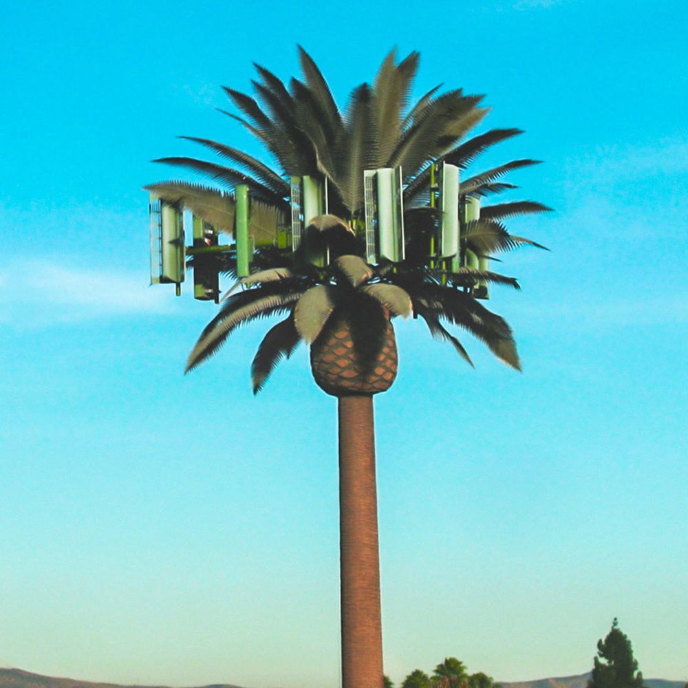Pochette de Slapncrunch
