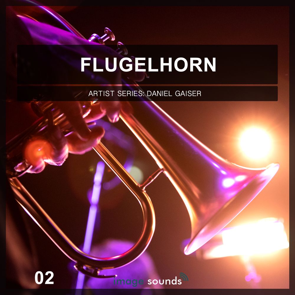 Pochette de Flugelhorn 2