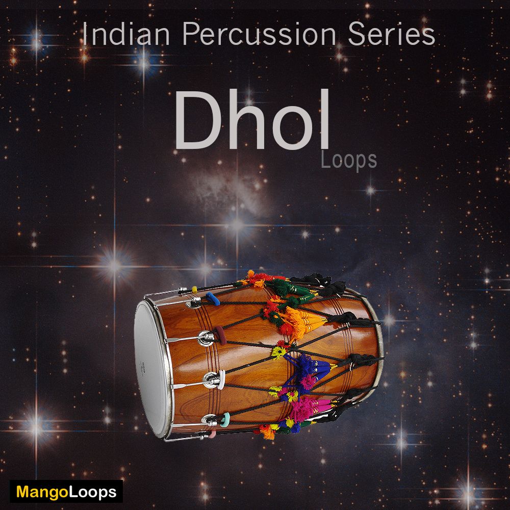 Dhol vst deals