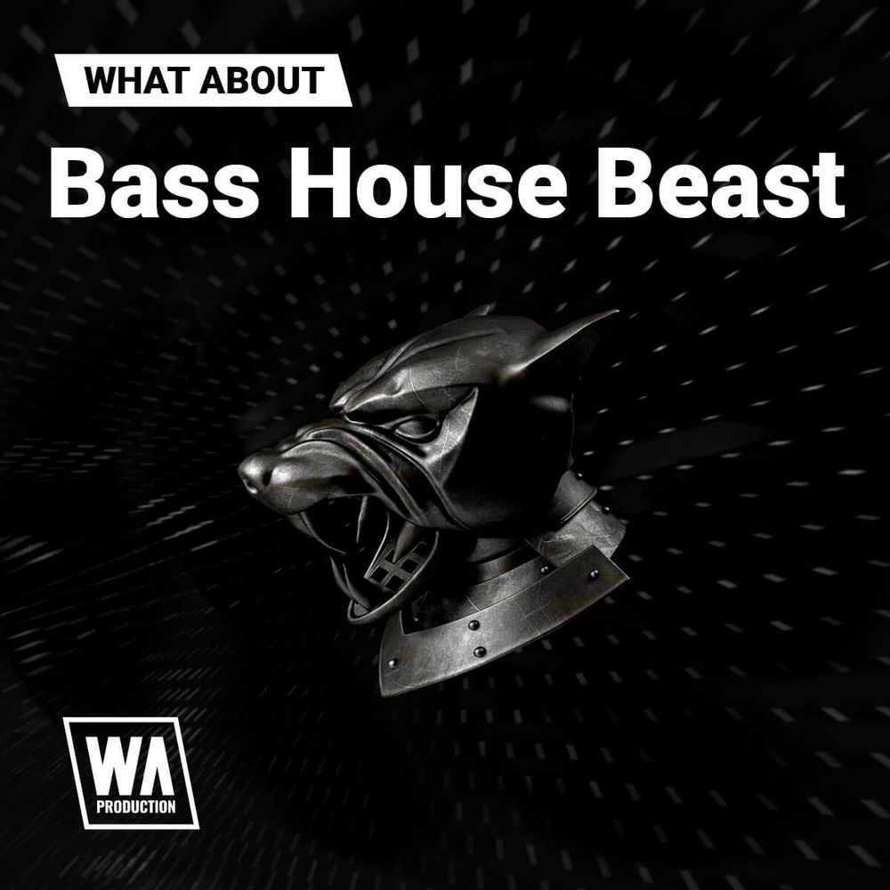 Pochette de What About: Bass House Beast
