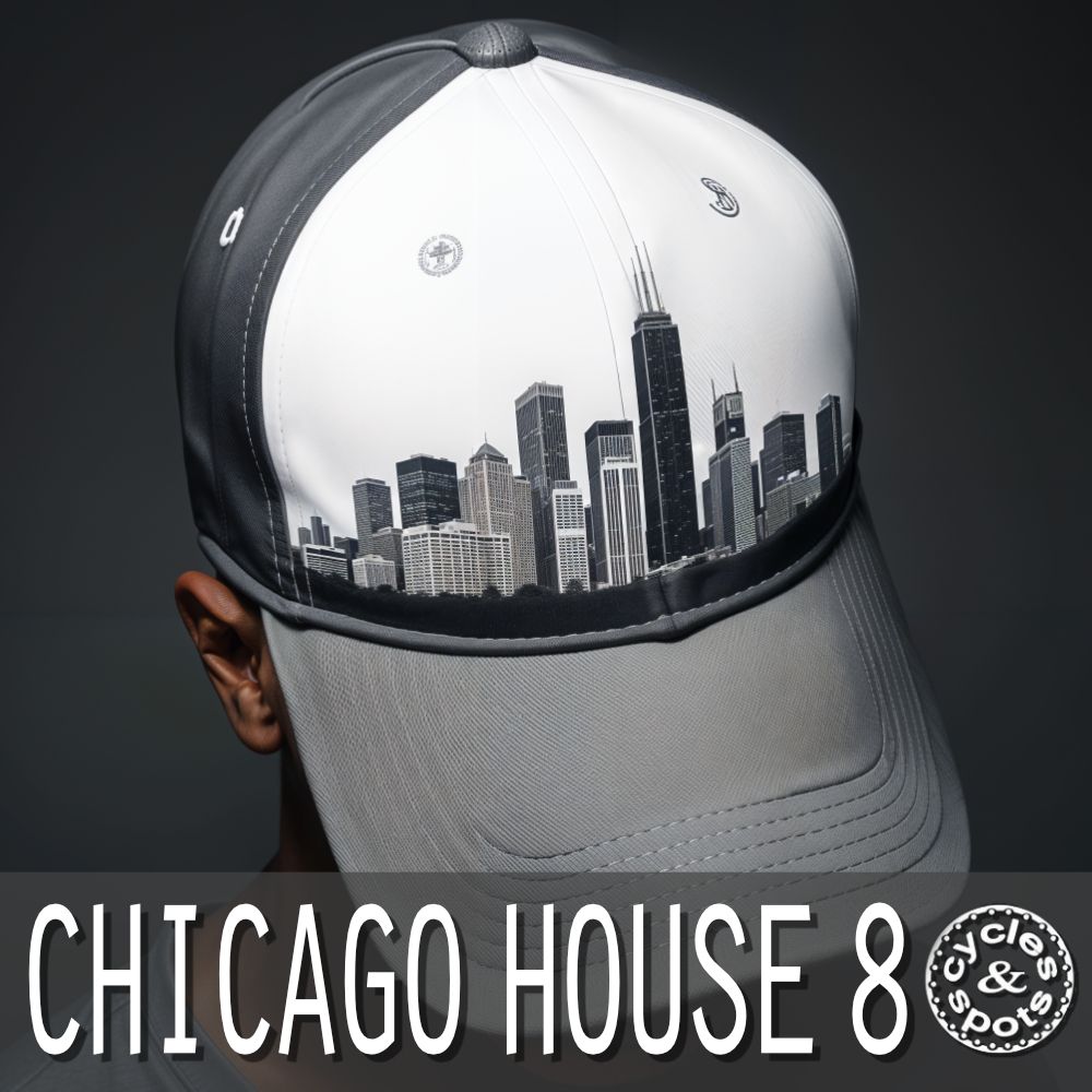 Arte de Chicago House 8