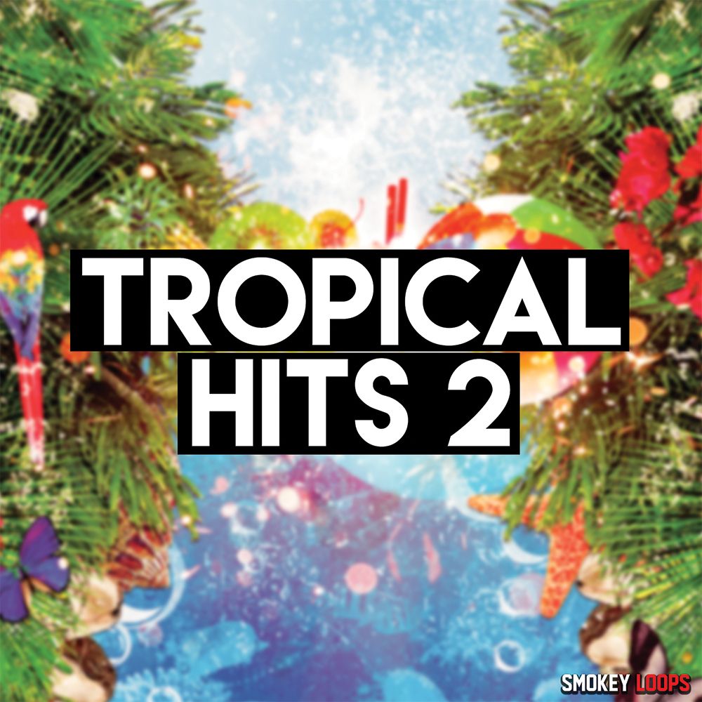 Pochette de Tropical Hits 2
