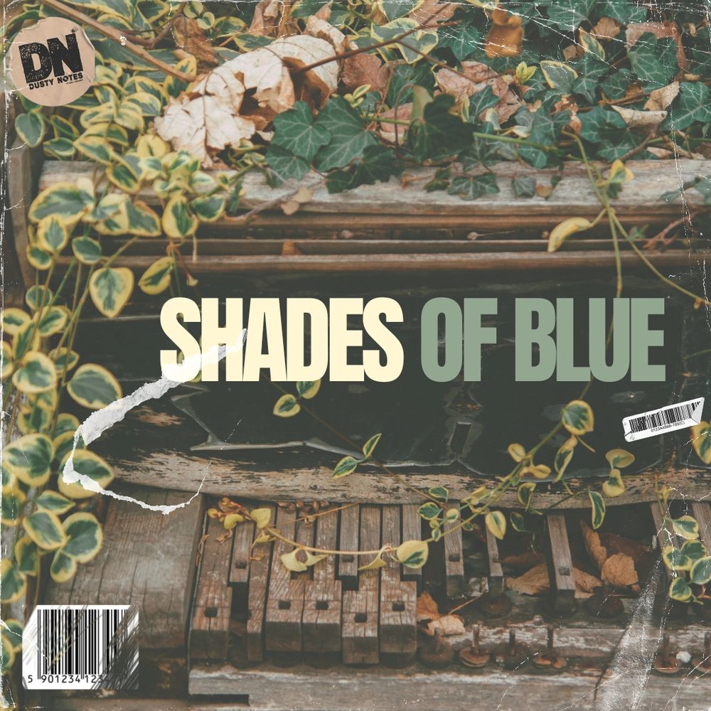 Pochette de Shades Of Blue