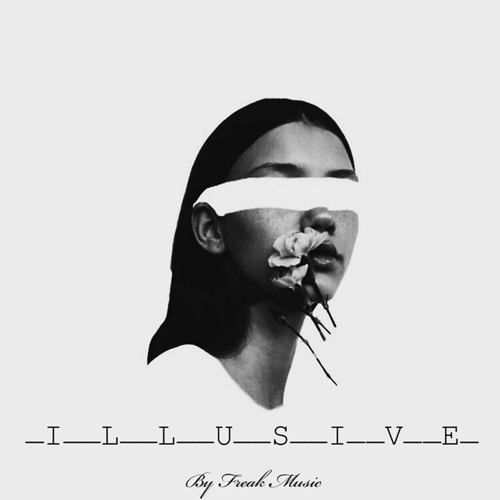 Cover of Illusive