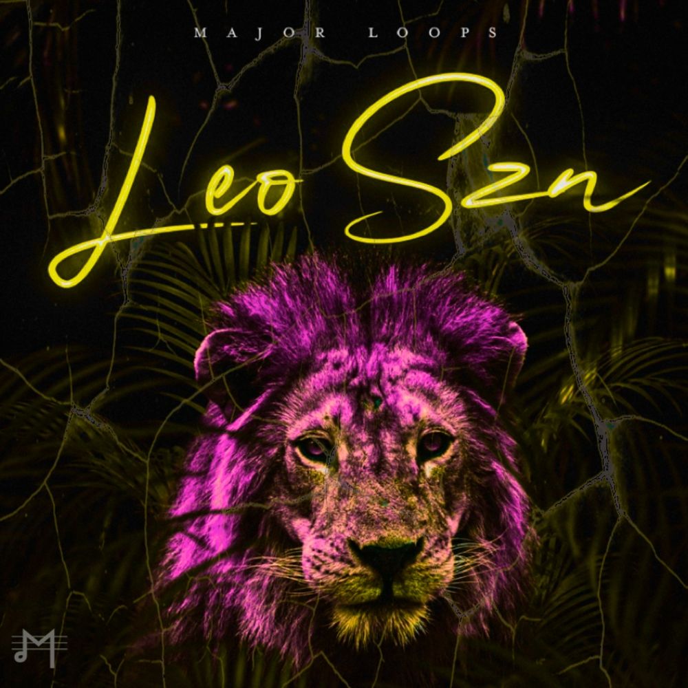Arte de Leo Szn