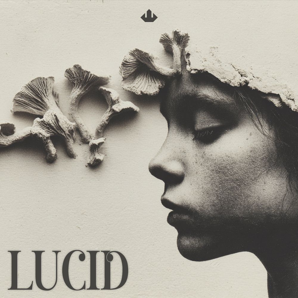 Pochette de LUCID - Loop Kit