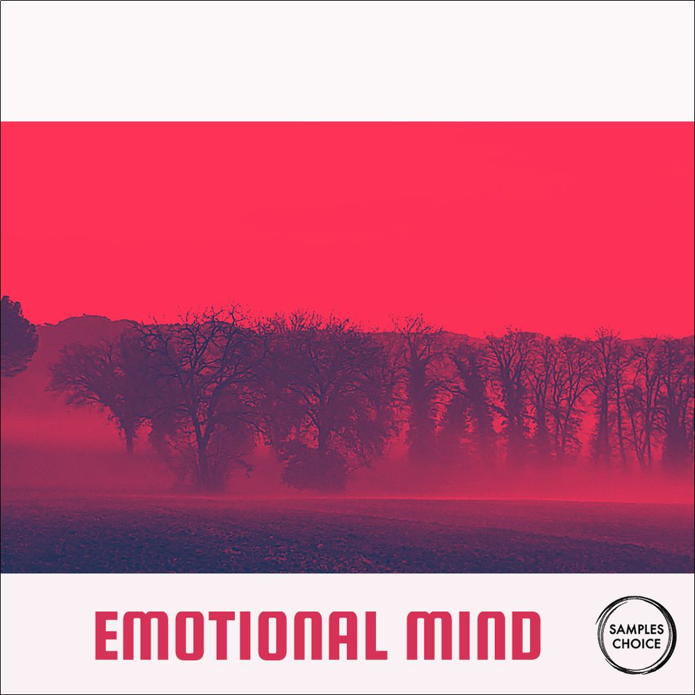 Pochette de Emotional Mind