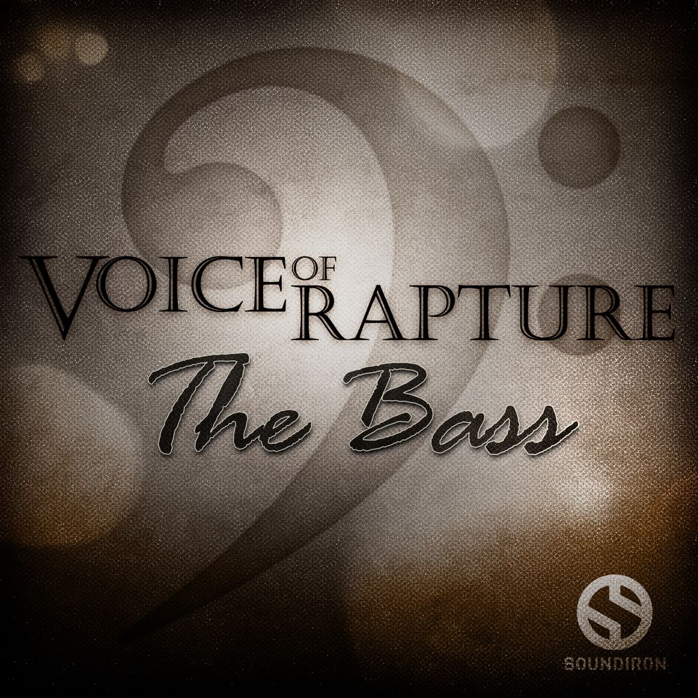 Pochette de Voice of Rapture The Bass