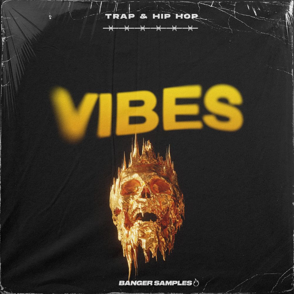 Pochette de VIBES