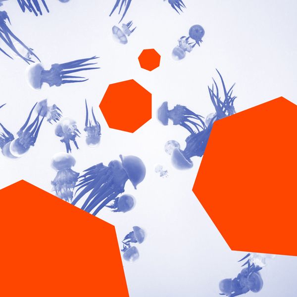 Pochette de Deep Analog Journey