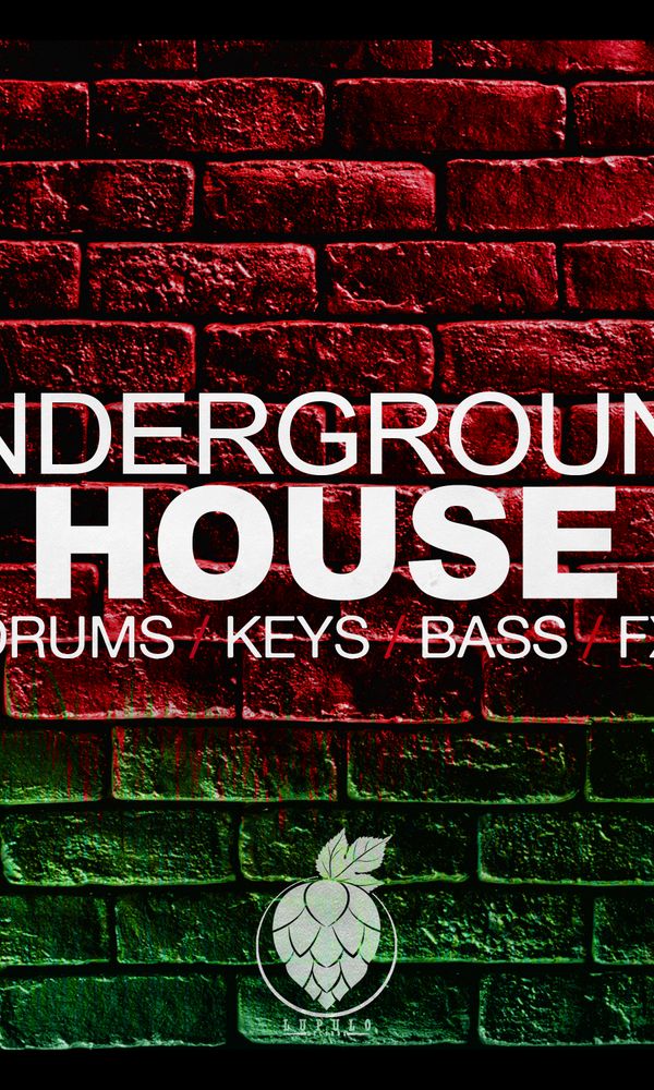 Artwork for Underground House