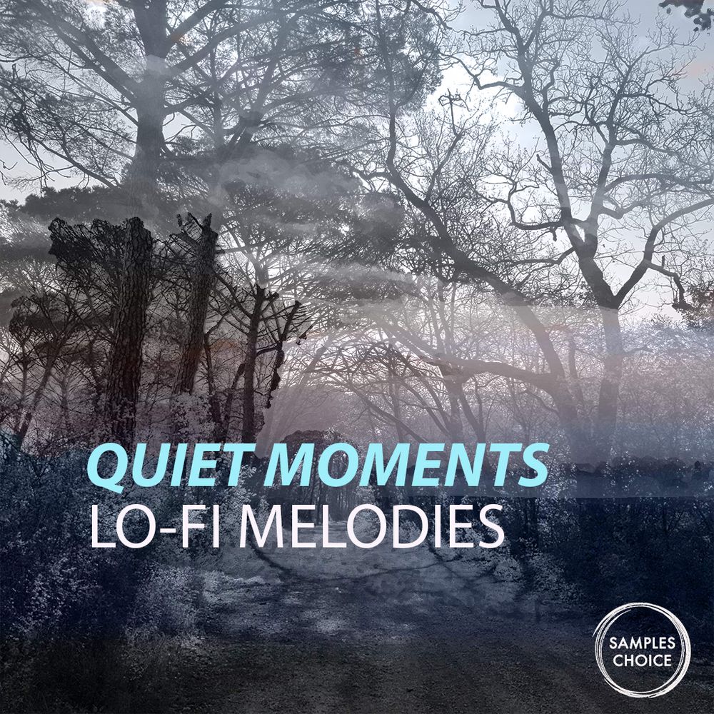 Pochette de Quiet Moments Lo-Fi Melodies