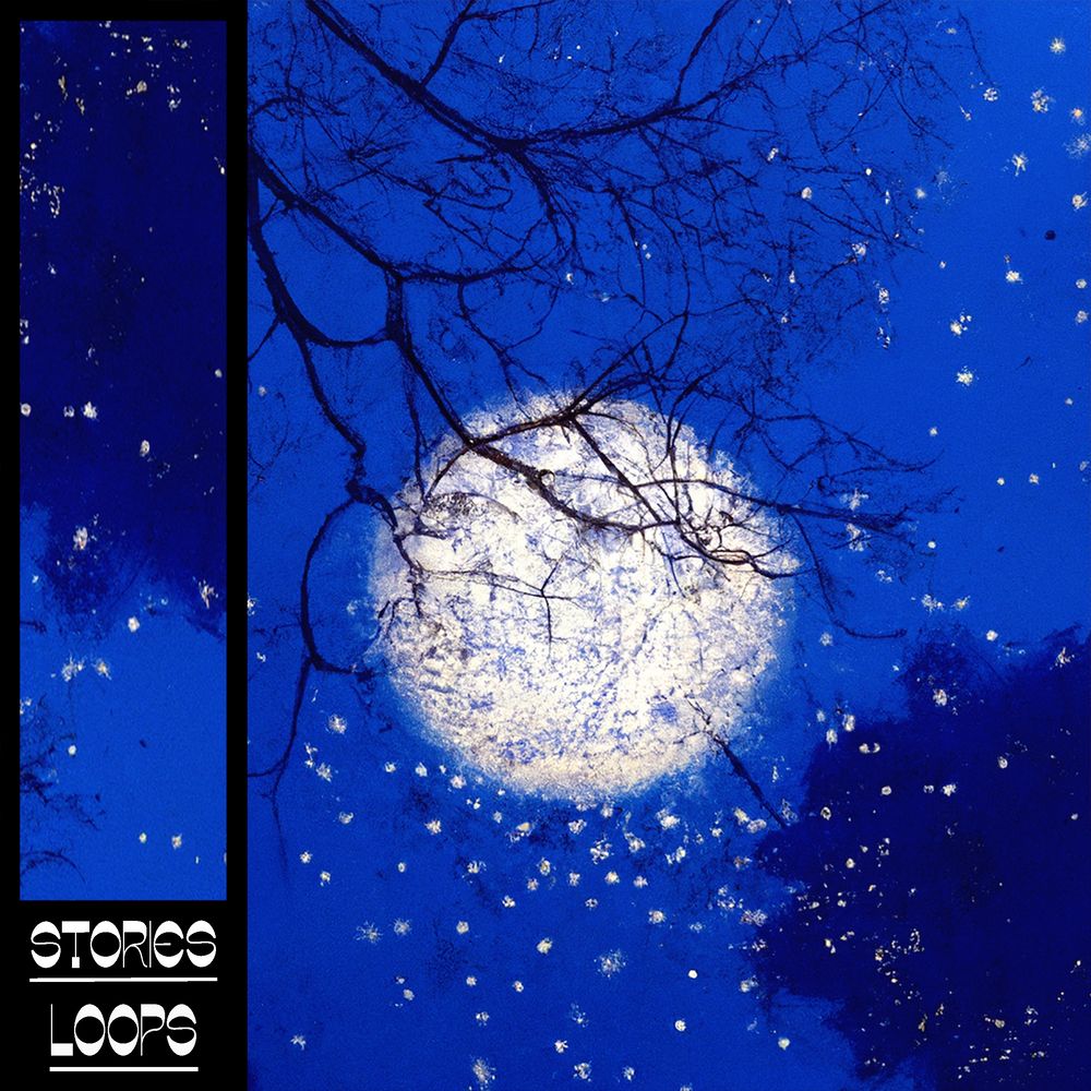 Rarity Drums Hip Hop Trap Sample Pack Landr Samples