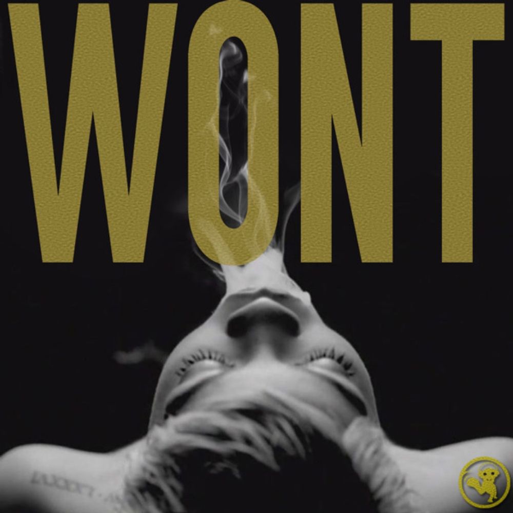 Arte de Won't