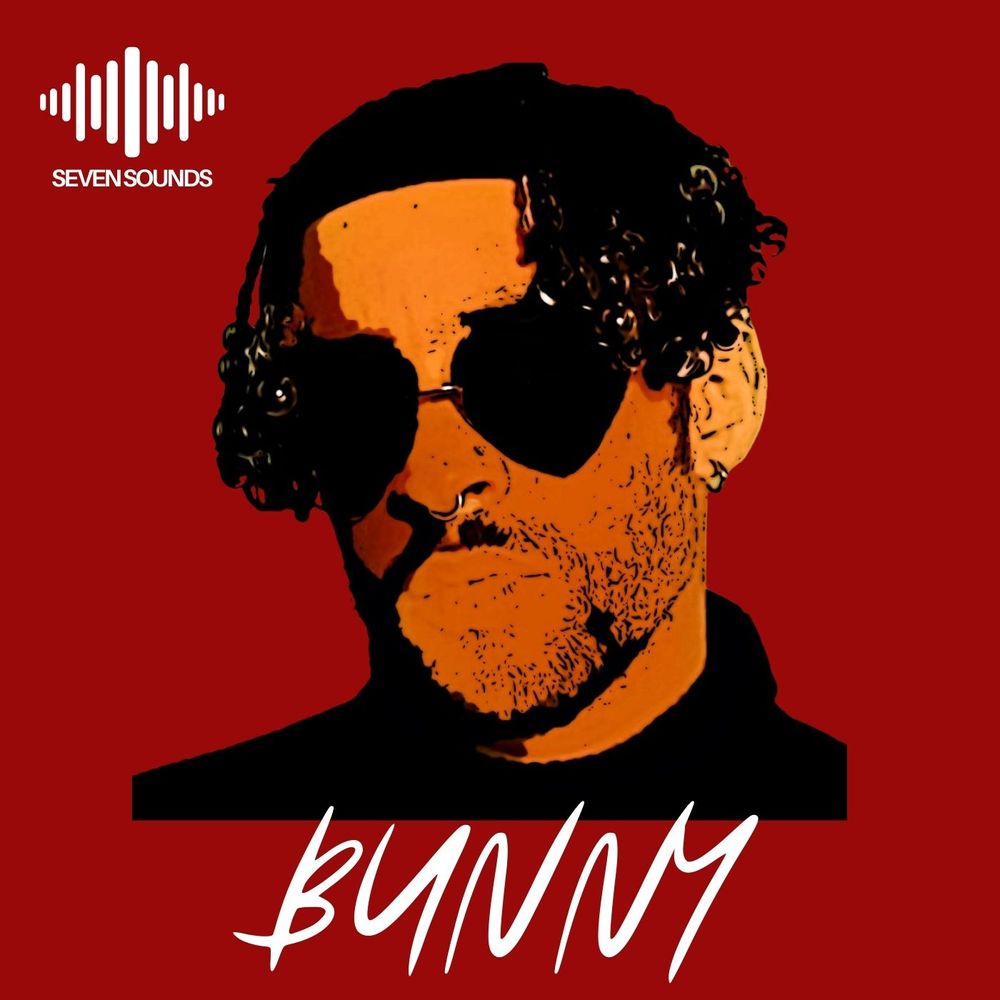 Pochette de Bunny