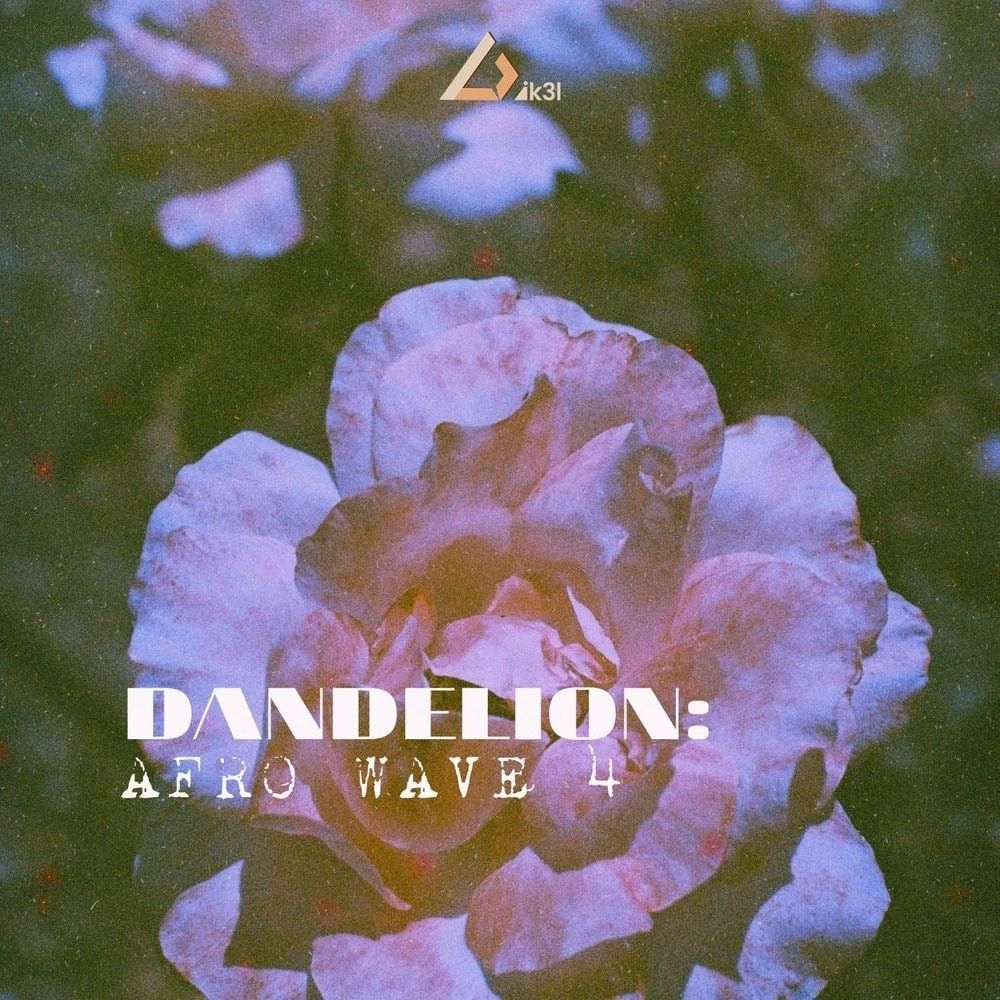 Arte de Dandelion Vol. 4 – Afro Wave