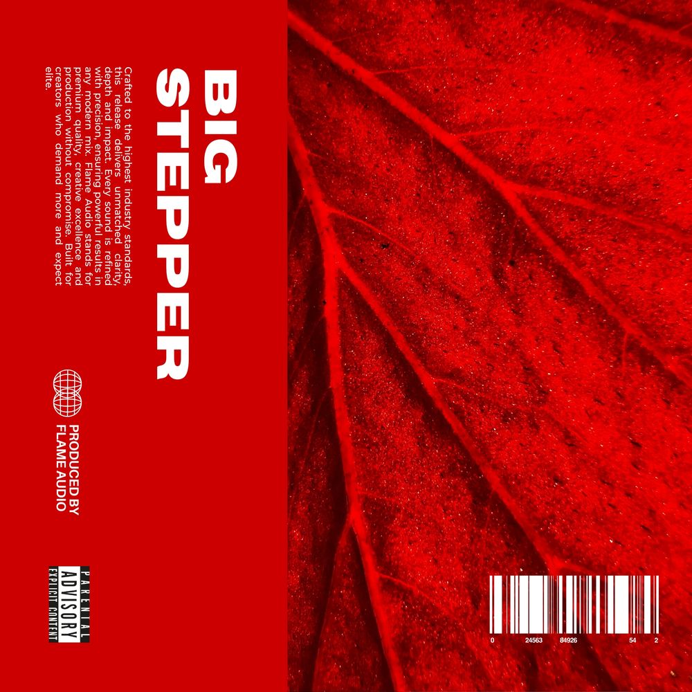 Pochette de BIG STEPPER: Exclusive Piano Samples