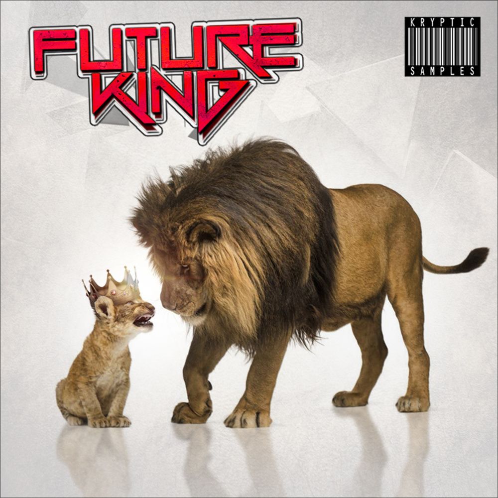 Pochette de Future King