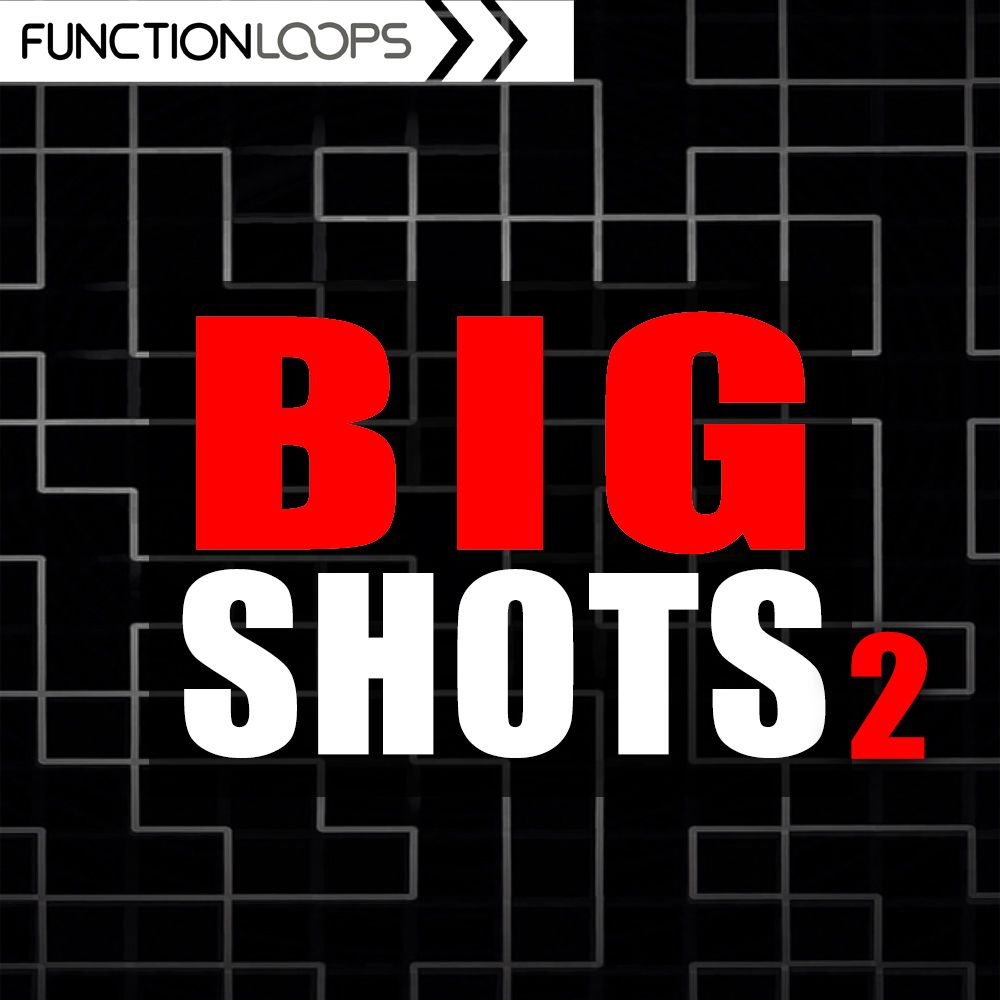 Pochette de Big Shots 2