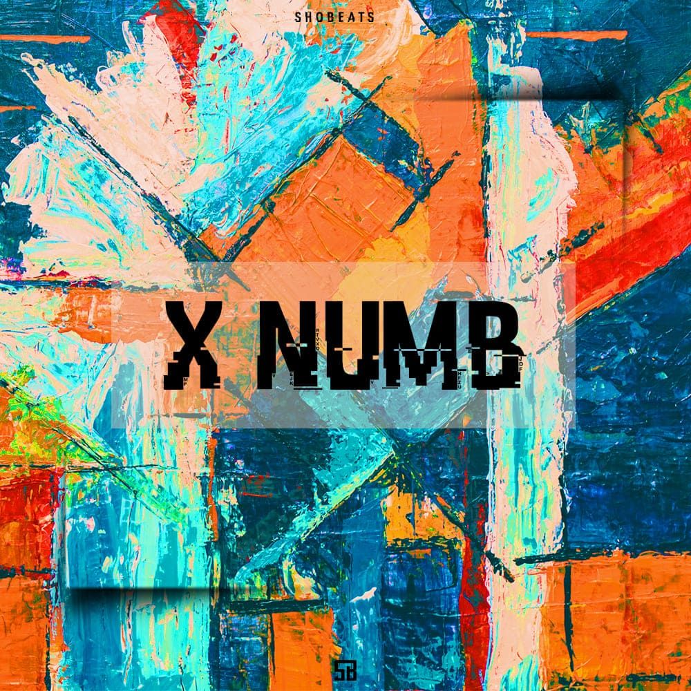 Pochette de X Numb