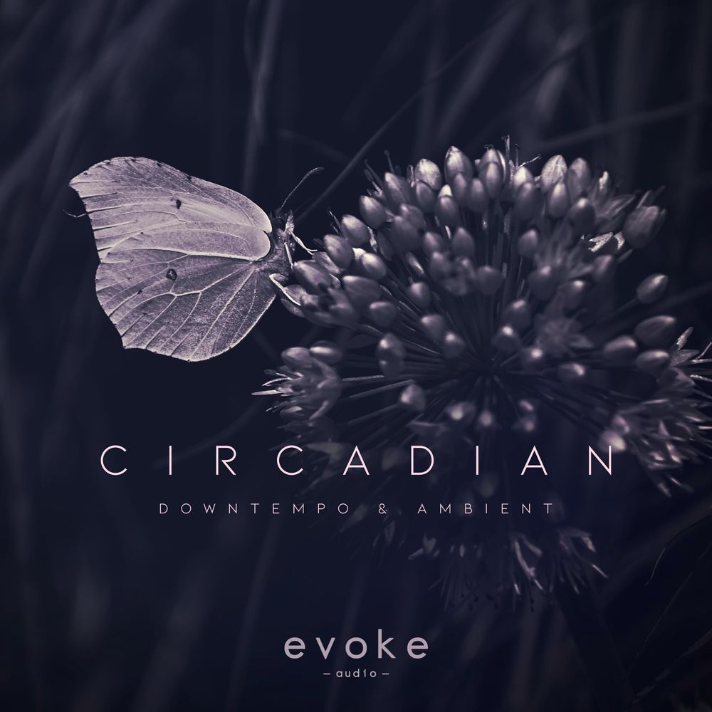 Arte de Circadian - Downtempo & Ambient