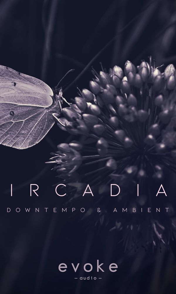 Artwork for Circadian - Downtempo & Ambient