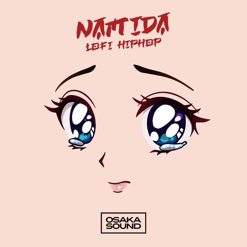 Pochette de Namida - Lofi Hip Hop
