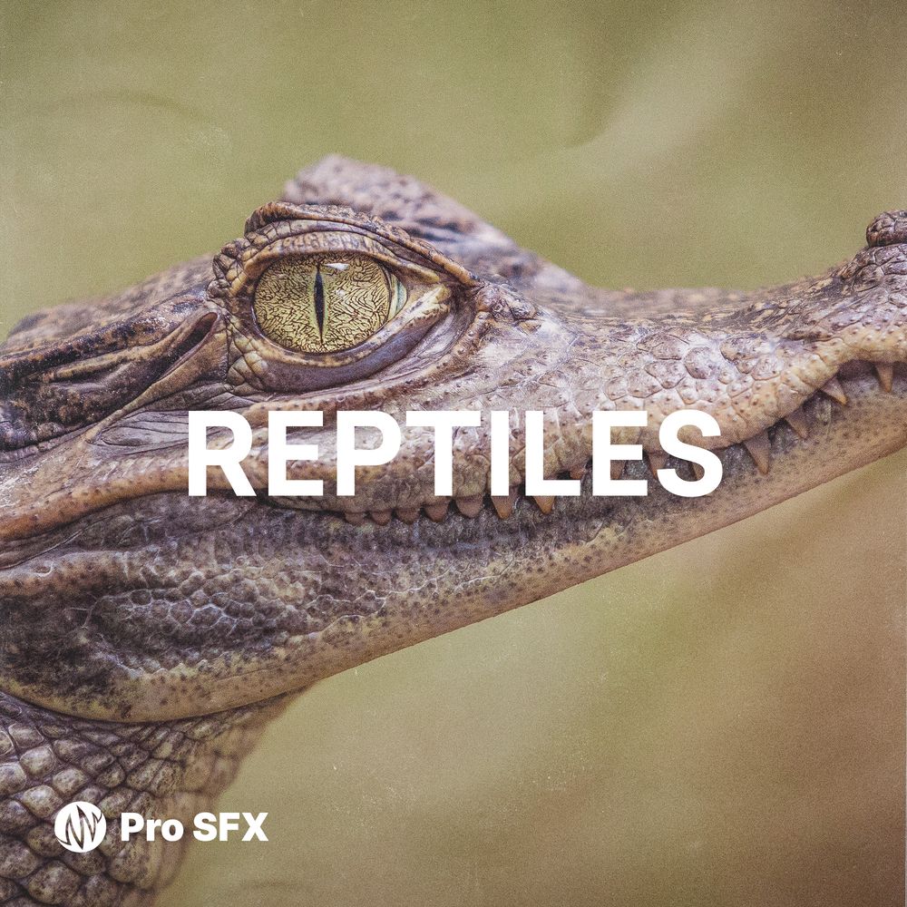 Arte de Reptiles
