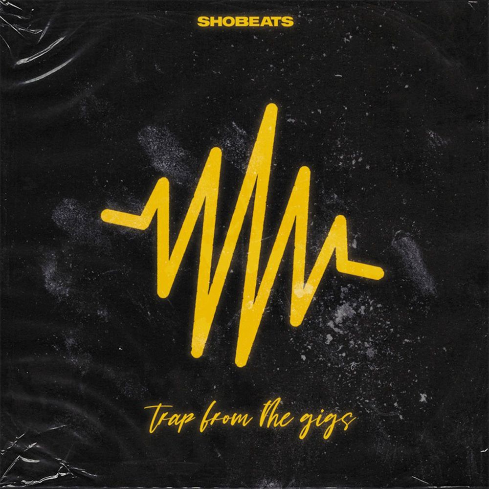 Pochette de Trap From the Gigs
