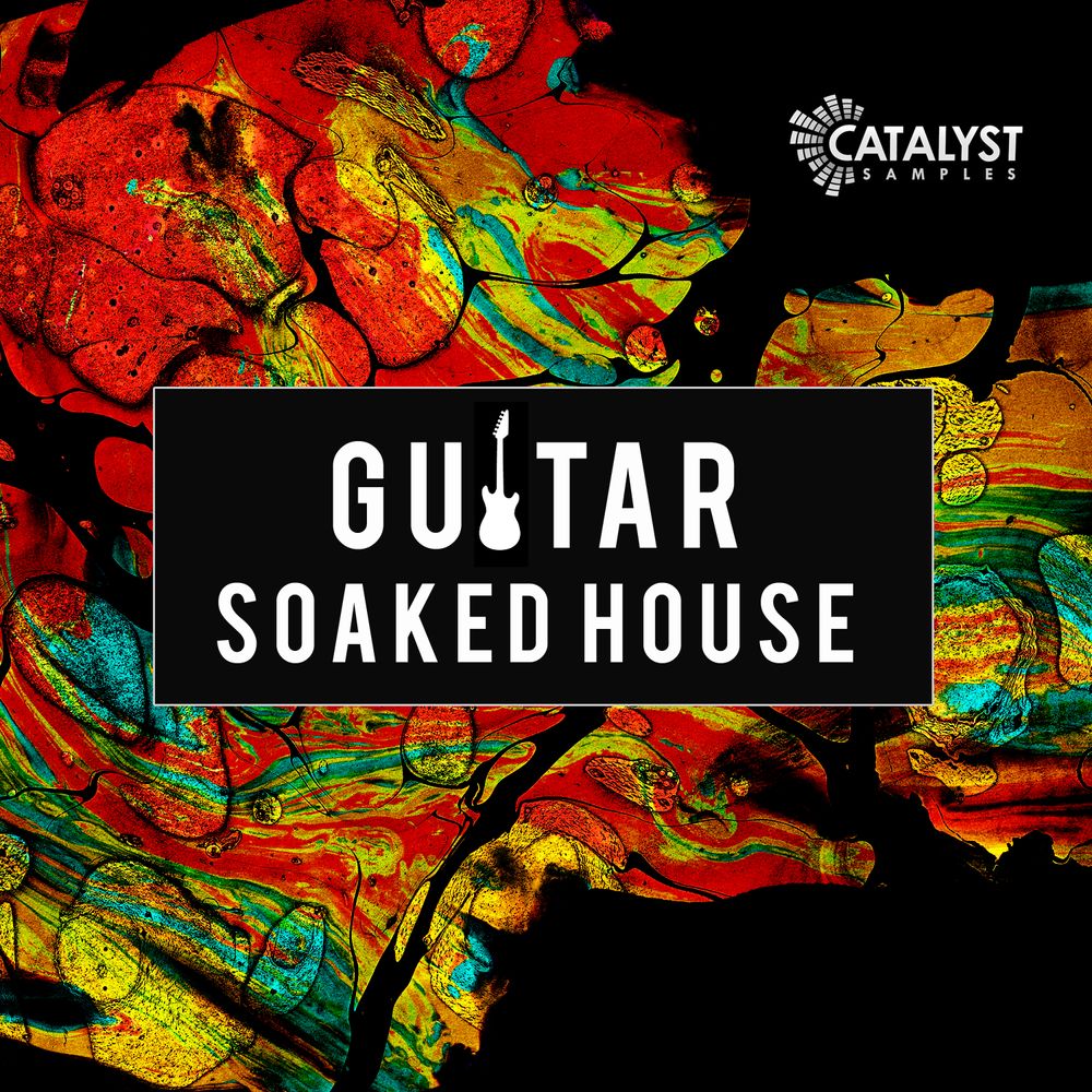 Arte de Guitar Soaked House