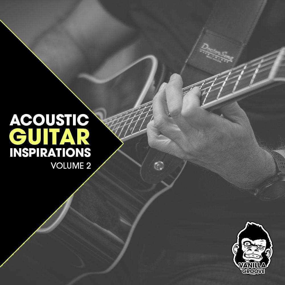Arte de Acoustic Guitar Inspirations Vol 2