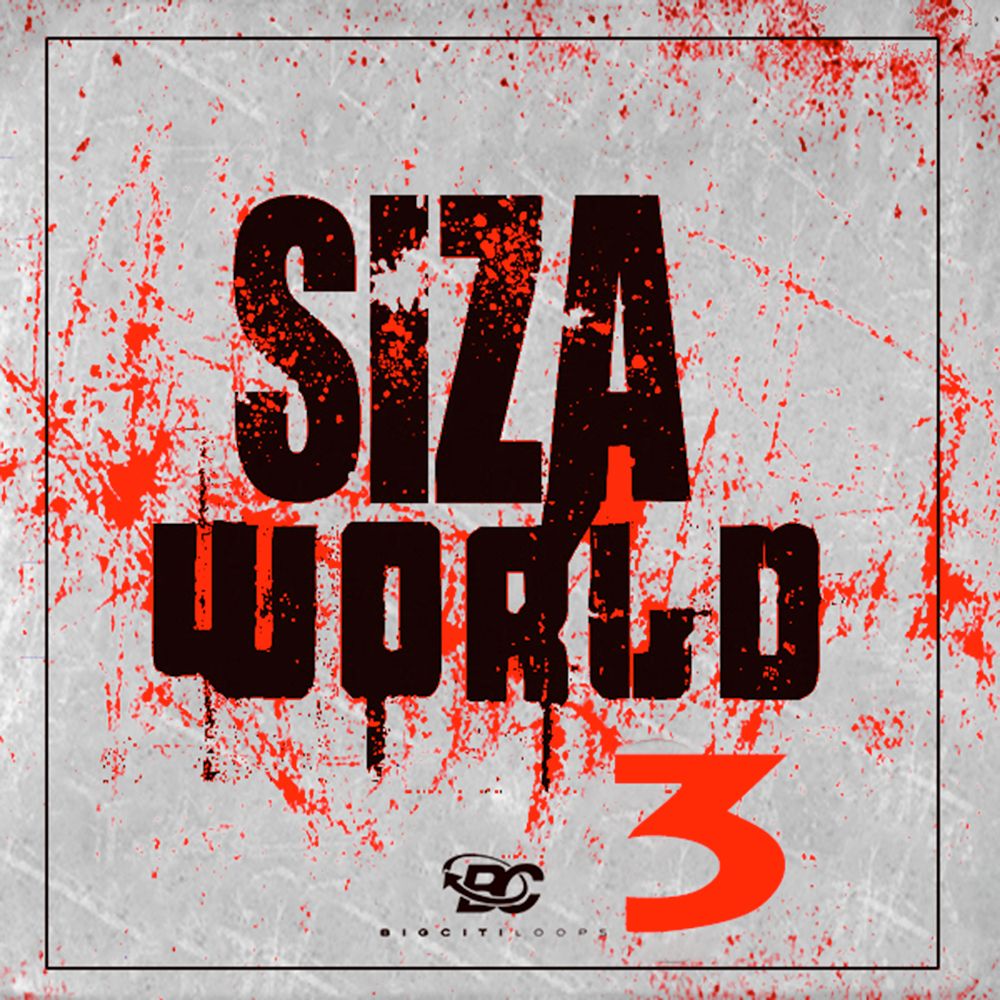 Arte de Siza World 3