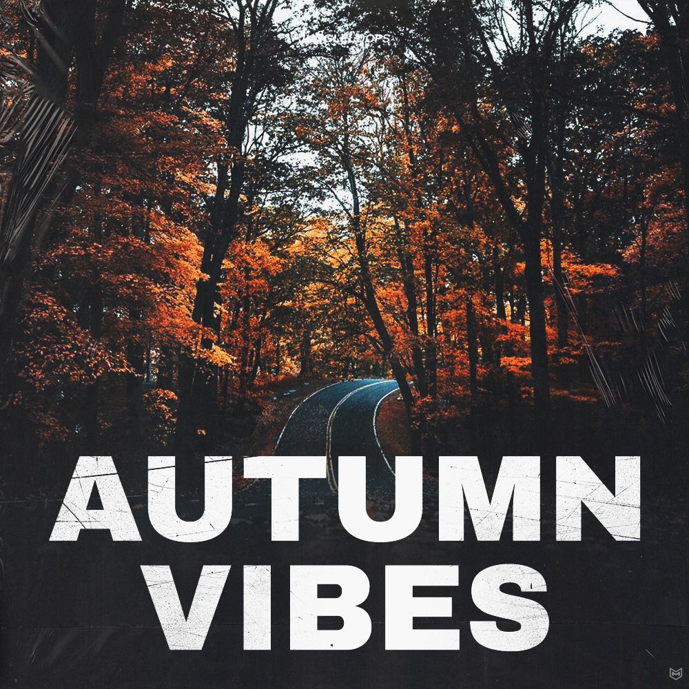 Autumn Vibes Sample Pack By Jungle Loops Landr Samples