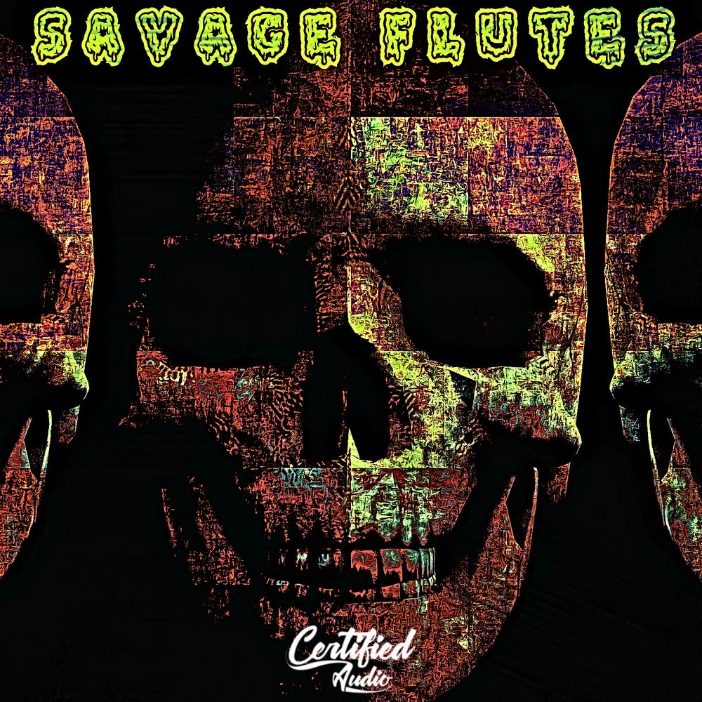 Pochette de Savage Flutes