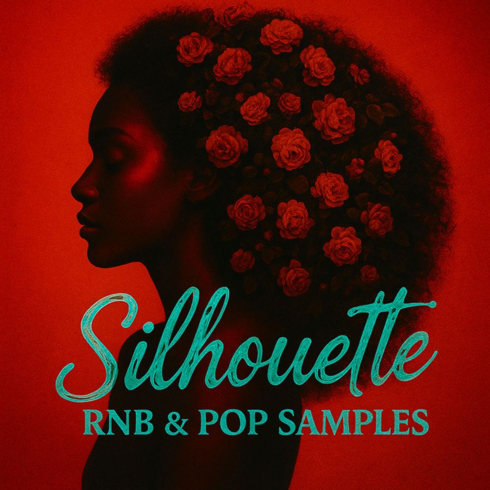 Arte de Silhouette - RnB & Pop Sample Pack
