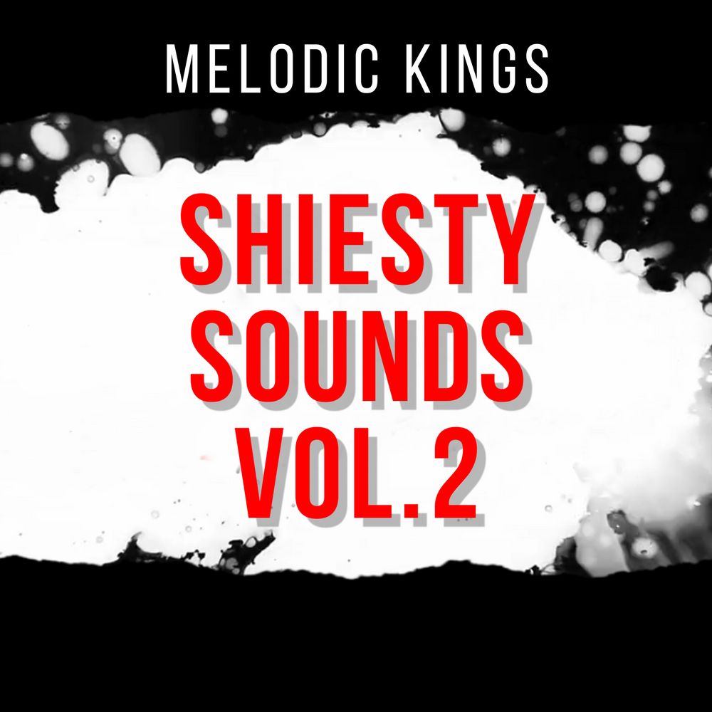 Arte de Shiesty Sounds 2