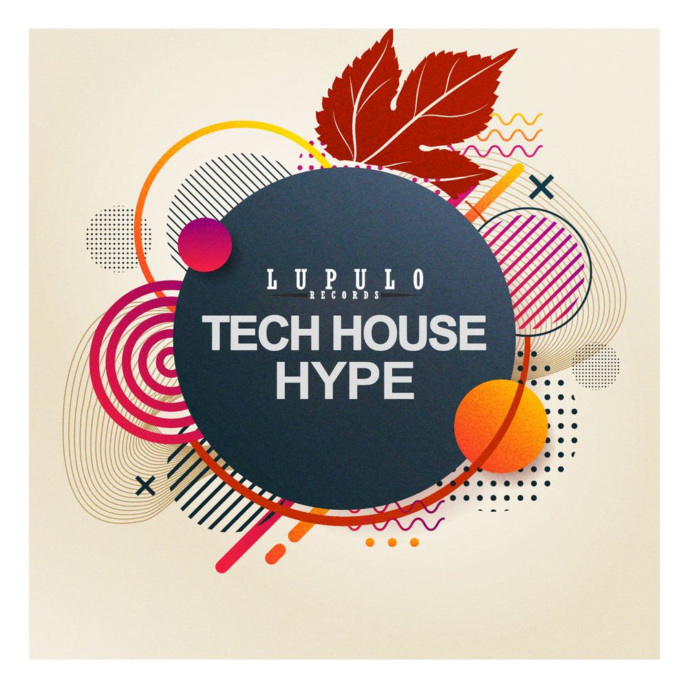 Pochette de Tech House Hype