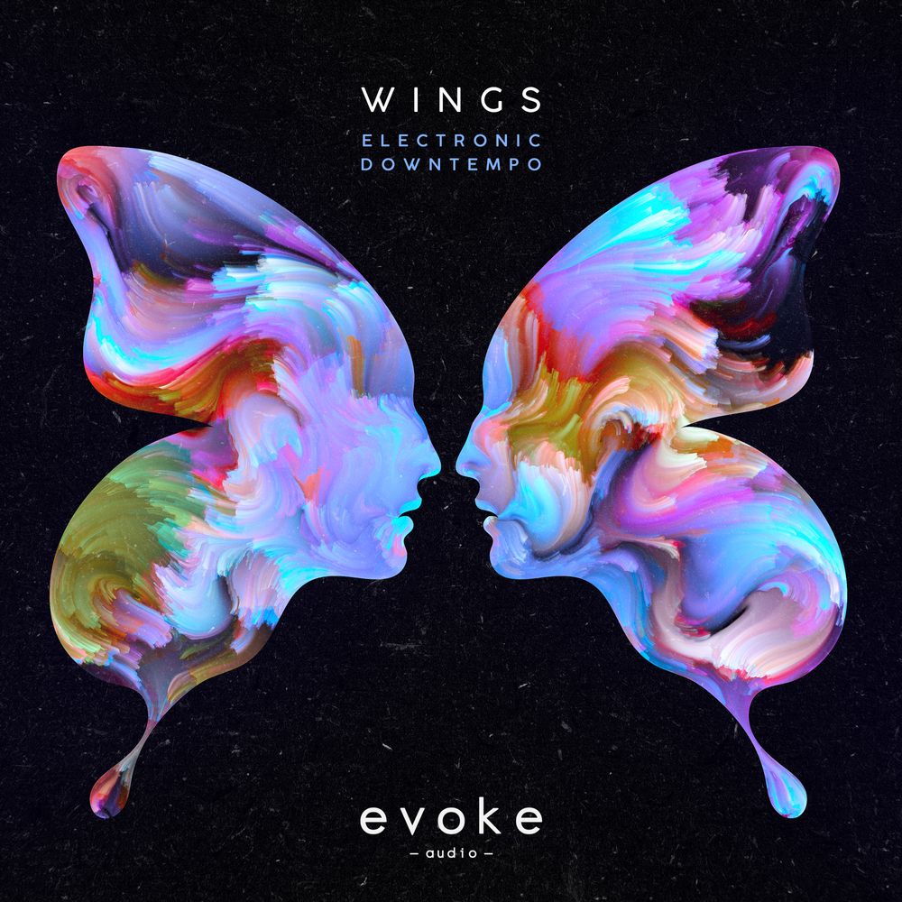 Arte de Wings - Electronic Downtempo