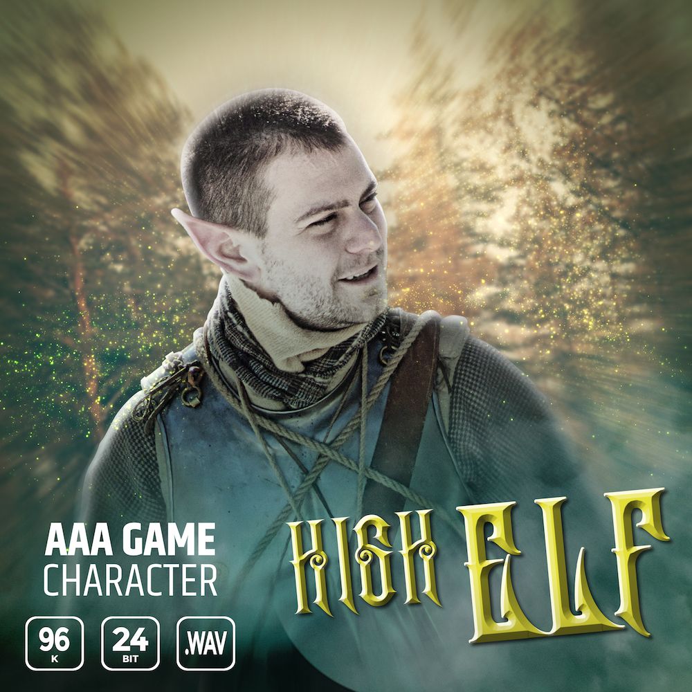 Pochette de AAA Game Character High Elf