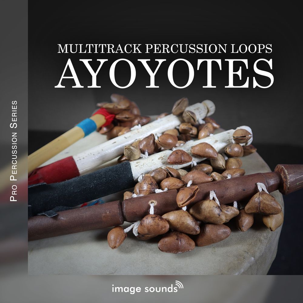 Arte de Ayoyotes (Seeds-Shells)
