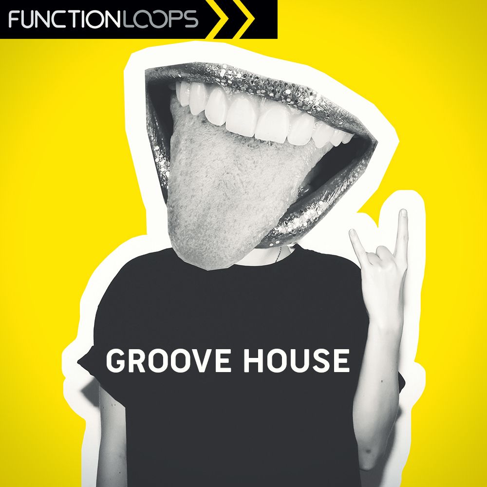 Pochette de Groove House