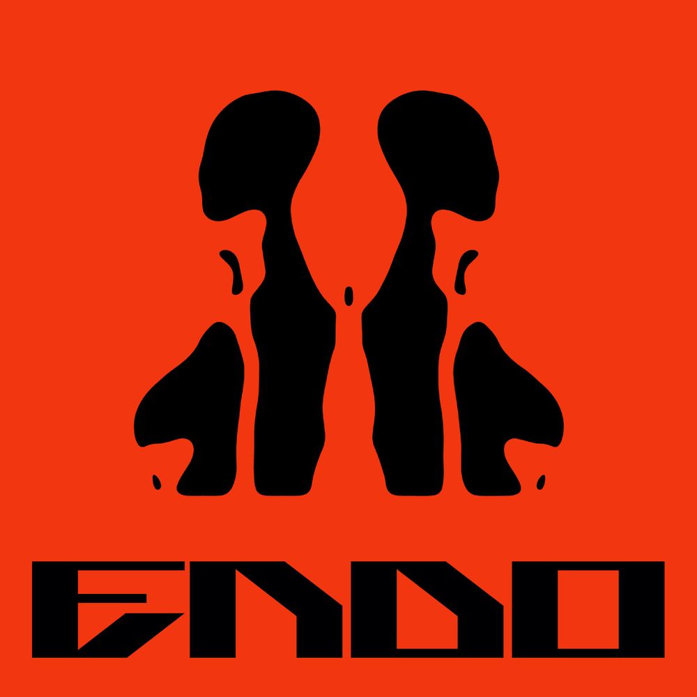 Pochette de Endo