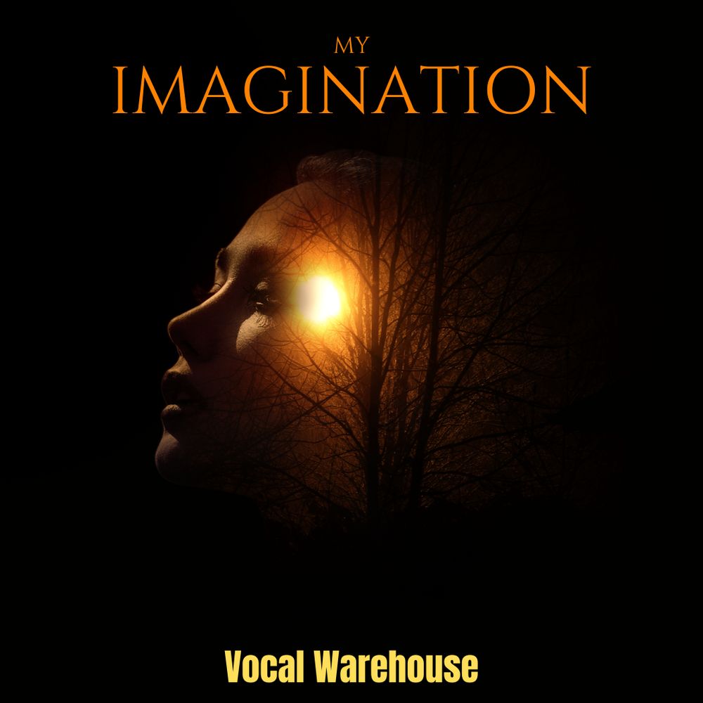 Arte de My Imagination - Vocal Pack