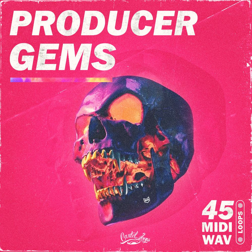 Pochette de Producer Gems
